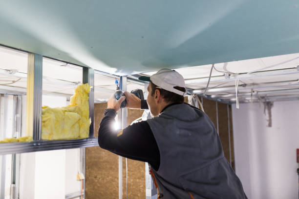 Professional Insulation Contractor in Cypress Landing, NC
