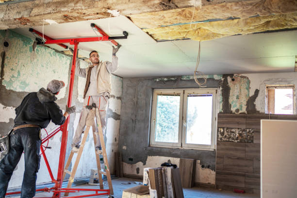 Best Insulation Replacement Services  in Cypress Landing, NC