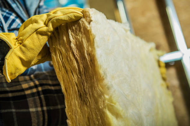 Best Insulation Contractor Near Me  in Cypress Landing, NC