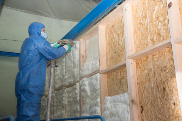 Best Affordable Insulation Services  in Cypress Landing, NC