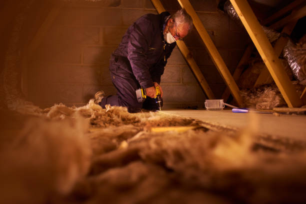 Best Attic Insulation Installation  in Cypress Landing, NC
